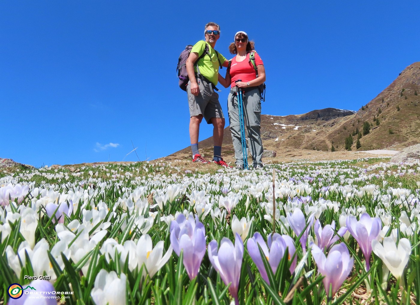 33 Crocus e  noi baciati dal sole.JPG